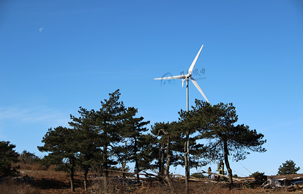 如何選址以優化小型風力發電機效能與安全？